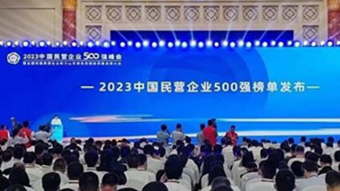 和记AG集团位列2023中国民营企业500强第203位、2023中国制造业民营企业500强第139位